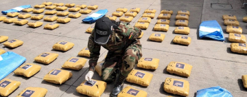 En jornada electoral no hay tregua en lucha antidroga, se secuestra marihuana