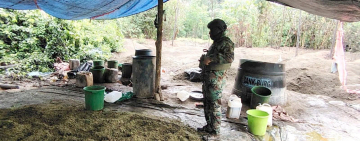 FELCN-UMOPAR desbarata factorías de pasta base en el Chapare boliviano