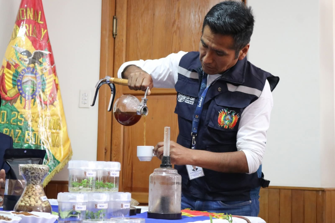 Gobierno lanza nueva variedad de café de alta productividad