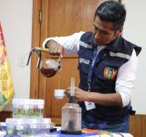 Gobierno lanza nueva variedad de café de alta productividad