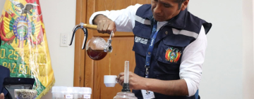 Gobierno lanza nueva variedad de café de alta productividad