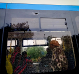 Bloqueadores apedrean la Línea Roja de Mi Tren y suspenden sus operaciones