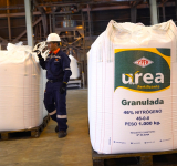 IBNORCA certifica calidad de la urea boliviana que apunta a competir en mercados del mundo 