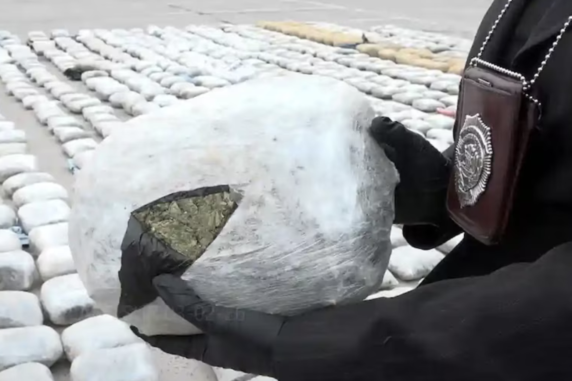 Incautan en Chile 1,2 toneladas de marihuana que ingresó desde Bolivia