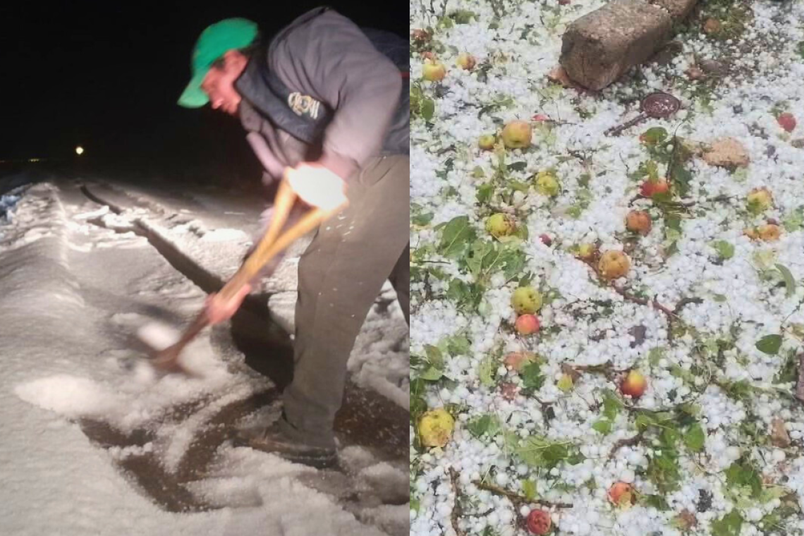 Tarija: Fuerte granizada afecta por segunda vez a cultivos, familias y vía en Yunchará