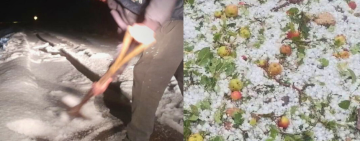 Tarija: Fuerte granizada afecta por segunda vez a cultivos, familias y vía en Yunchará