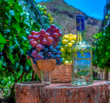 Exportaciones de singani boliviano crecen en 18% y llegan a $us 216 millones en 2025