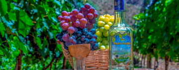 Exportaciones de singani boliviano crecen en 18% y llegan a $us 216 millones en 2025