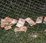 Banco Central de Bolivia inhabilita billetes de Bs 10, Bs 20 y Bs 50 de la Serie B tras siniestro en El Alto