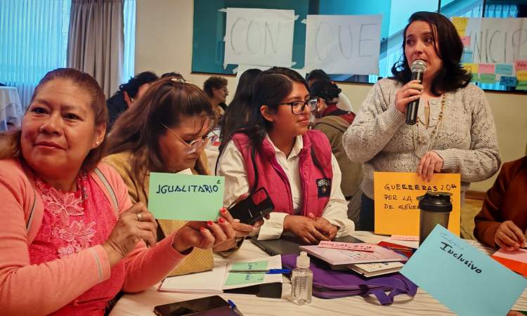 La Coordinadora de la Mujer alerta que Bolivia mantiene profundas brechas de género pese a avances legales
