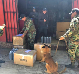 Wisky-Guía divisan y confiscan marihuana en encomiendas en Tarija