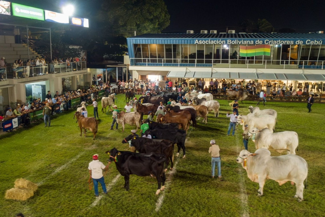 Agropecruz: Fiscal General promueve acciones contra abigeato y avasallamientos