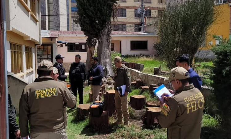 Fiscalía y Policía intervienen Hogar de Acogida y aprehenden e cuidadora por maltrato