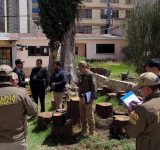 Fiscalía y Policía intervienen Hogar de Acogida y aprehenden e cuidadora por maltrato