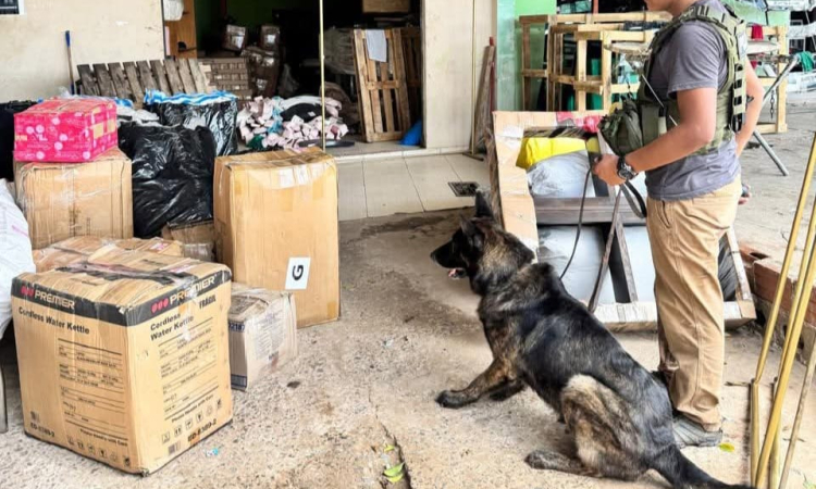 FELCN confisca sustancias químicas y controladas en varios operativos