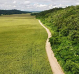 Intervienen finca “Adán y Eva” en investigación contra la familia de Luis Arce