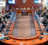 Bolivia recibe respaldo de la OEA a la democracia y salida constitucional a la actual coyuntura