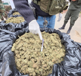 FELCN-Santa Cruz afecta al narcotráfico con casi medio millón de dólares
