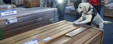 ASP-B aclara que cargamento de madera impregnado con droga incautado en Arica no fue operado por la institución