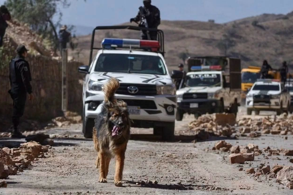La Policía adopta a “Rex”, can que acompañó a policías y militares a desbloquear la ruta al occidente