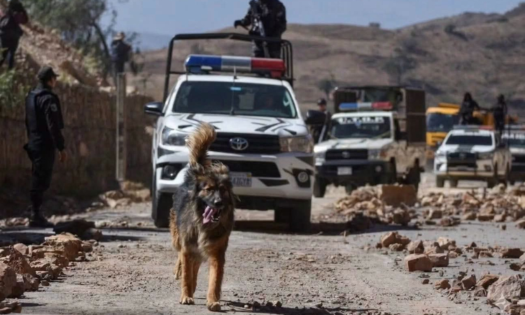 La Policía adopta a “Rex”, can que acompañó a policías y militares a desbloquear la ruta al occidente