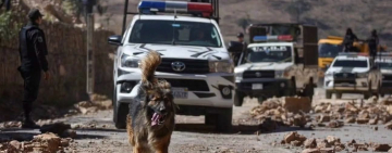 La Policía adopta a “Rex”, can que acompañó a policías y militares a desbloquear la ruta al occidente