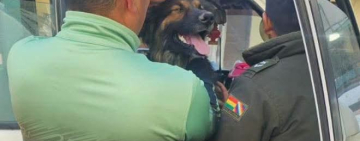 Rex se incorpora a filas policiales, recibirá una distinción en el Bicentenario de la Policía