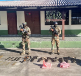 FELCN halla armas de fuego y desarticula laboratorio y fábricas de cocaína