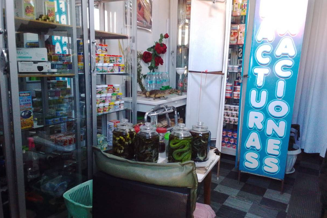  Aprehenden a cinco comerciantes de medicina natural de El Alto por tráfico de fauna silvestre 