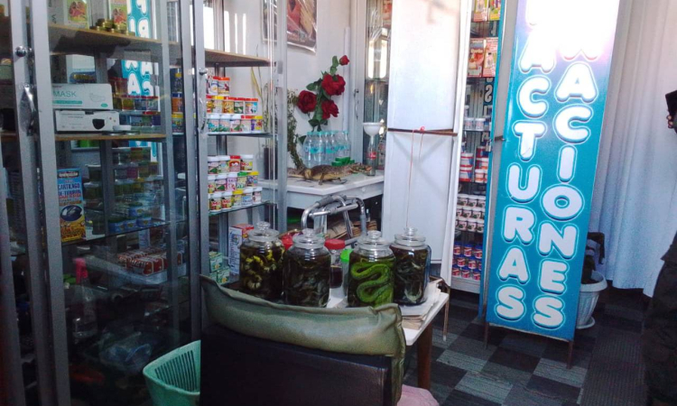  Aprehenden a cinco comerciantes de medicina natural de El Alto por tráfico de fauna silvestre 
