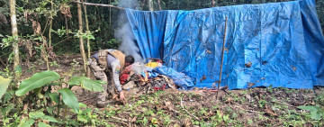 Marinos desmantelan cinco campamentos de minería ilegal en área protegida del Madidi