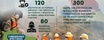 Presidente pide investigar el origen de incendios ante sospechas de focos provocados