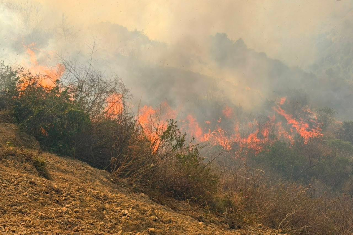 Ministerio de Defensa aúna esfuerzos para ahogar los incendios forestales en Tarija