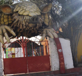 Alcaldía anuncia cierre paulatino del Bioparque de Oruro