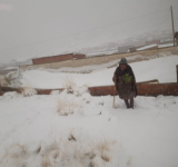 Defensa Civil activa atención y gestiona ayuda para 51 familias afectadas por nevada en Potosí