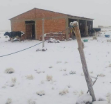 Densa nevada causa un muerto, afecta a 26.220 familias y ganado en el occidente del país
