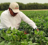  Anapo organiza en Santa Cruz el primer Congreso Internacional de Agricultura Sostenible 