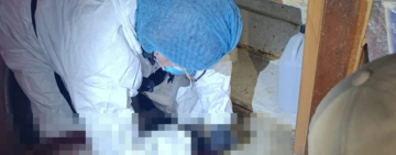 Ministerio Público reporta Feminicidio en El Alto y suman en el país 59 víctimas