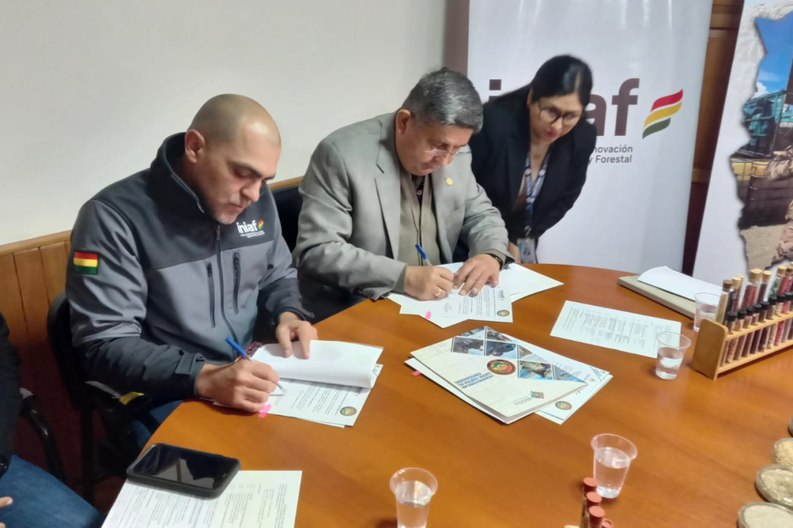 VLCC y INIAF acuerda fortalecer la lucha contra el contrabando de semillas