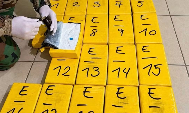 En frontera con Argentina incautan 378 kilos de clorhidrato ocultos en un “macaco”