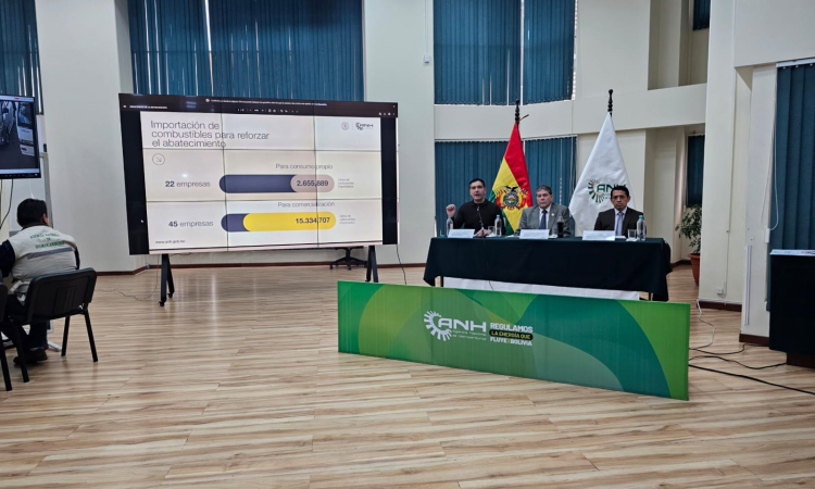 En desvió ilegal, la ANH bloquea 10.781 placas, comisa 14.097 litros de gasolina y 659 garrafas